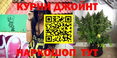 тгк Обь
