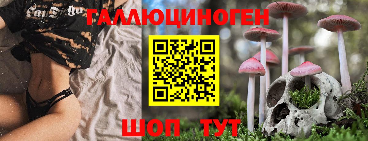 Строитель  Галлюциногенные грибы ЛСД  Вход с VPN  цены   Галлюциногенные грибы Psilocybe 