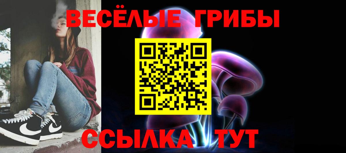 Псилоцибиновые грибы Psilocybine cubensis Строитель